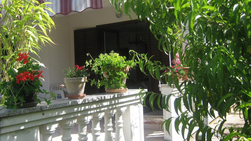 Apartments Grzunov Zadar Eksteriør billede